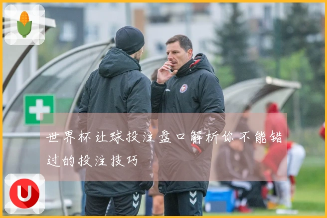 世界杯让球投注盘口解析你不能错过的投注技巧