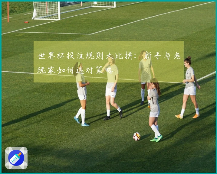 世界杯投注规则大比拼：新手与老玩家如何选对策略