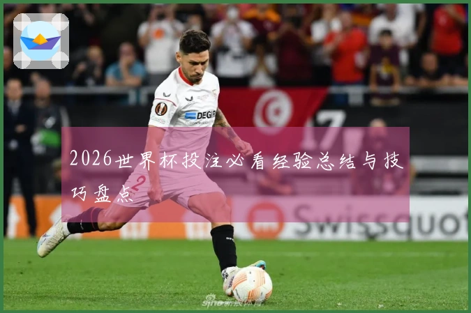 2026世界杯投注必看经验总结与技巧盘点