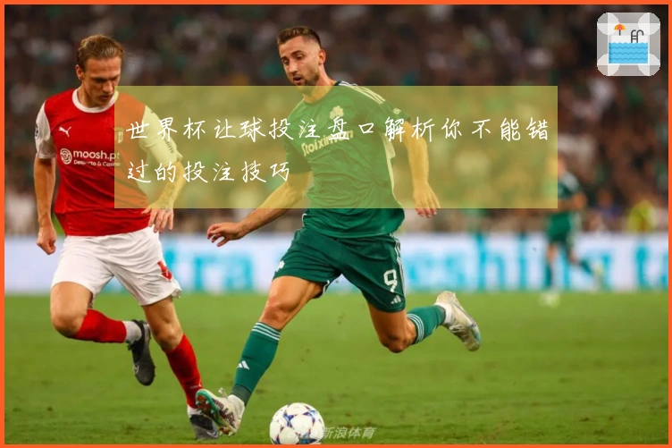 世界杯让球投注盘口解析你不能错过的投注技巧