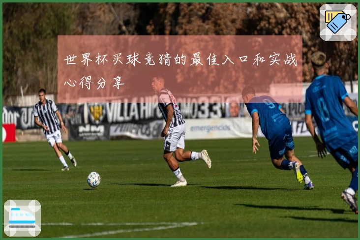 世界杯买球竞猜的最佳入口和实战心得分享