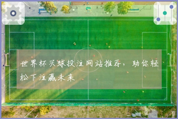 世界杯买球投注网站推荐，助你轻松下注赢未来