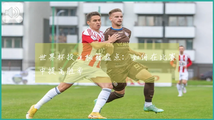 世界杯投注秘籍盘点：如何在比赛中提高胜率