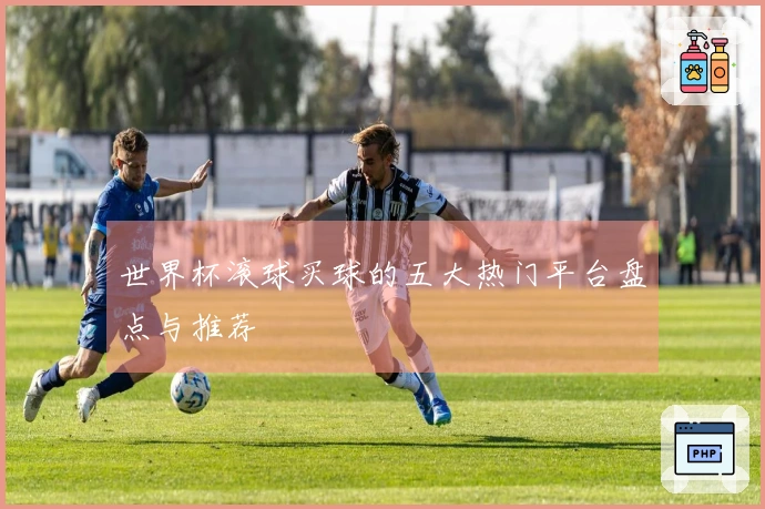 世界杯滚球买球的五大热门平台盘点与推荐