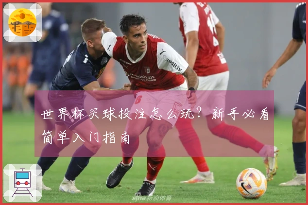 世界杯买球投注怎么玩？新手必看简单入门指南