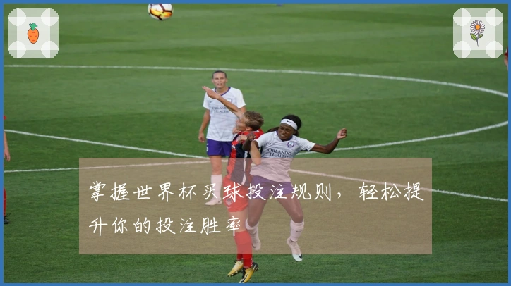 掌握世界杯买球投注规则，轻松提升你的投注胜率