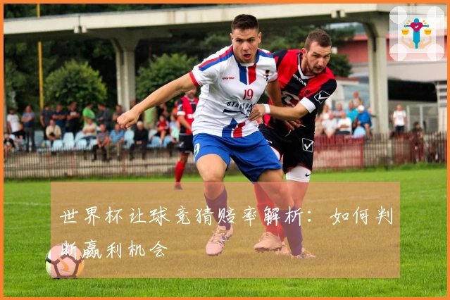 世界杯让球竞猜赔率解析：如何判断赢利机会