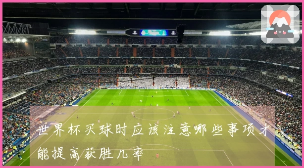 世界杯买球时应该注意哪些事项才能提高获胜几率