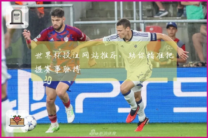 世界杯投注网站推荐，助你精准把握赛事脉搏