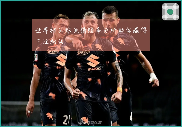 世界杯买球竞猜赔率分析助你赢得下注秘诀